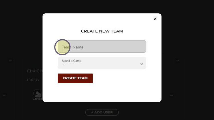 Name your team dialog box with first text field highlighted